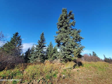 17309 Kimeluk St, Ninilchik, AK 99639 - photo 3