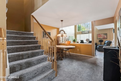 photos_high_resolution_HOM09785 - Copy