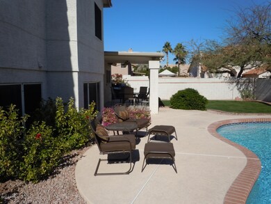 Backyard 3