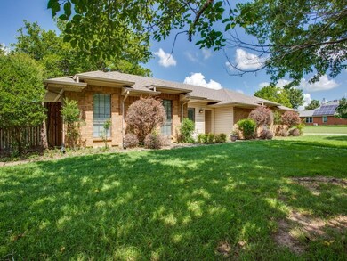 Lush grass under a sprawling tree canopy.