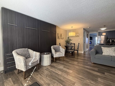 1093 Canyon Rd unit 406, Wisconsin Dells, WI 53965 - photo 2