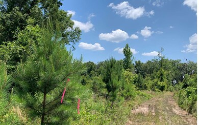 0 Cr-245 unit 111258, Lake City, FL 32061 - photo 2