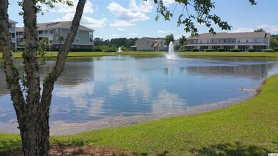 328 Kiskadee Loop unit 15-C, Conway, SC 29526 - photo 3