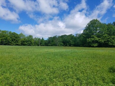 00 German Hill Rd Rd, Greenwood, NY 14839 - photo 5