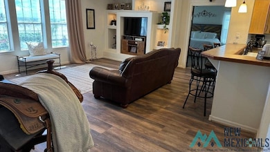Living area with dark wood-style flooring and built in features