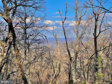 LOT 64 Laurel Run, Mathias, WV 26812 - photo 2