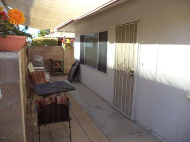 Back Patio