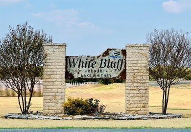 19134 White Bluff Dr, Whitney, TX 76692 - photo 2