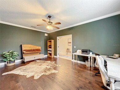 30301 Gidran Terrace, Mount Dora, FL 32757 - photo 7