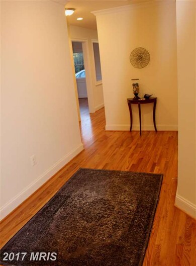 7048 Williamsburg Blvd, Arlington, VA 22213 - photo 4