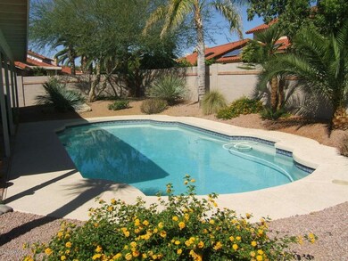 Sparkling Pool