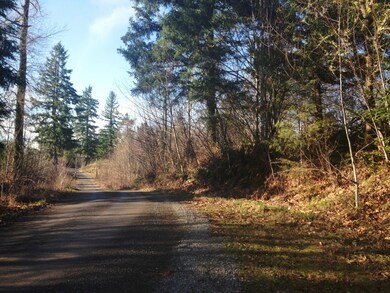 0 Lybecker Ln SE unit 732811, Rainier, WA 98576 - photo 7