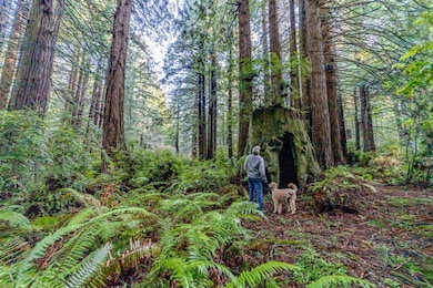 1155 Patricks Point Dr, Trinidad, CA 95570 - photo 6