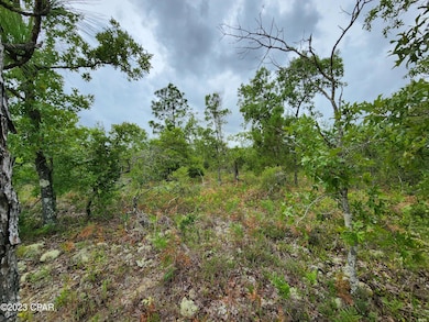 0 Military Ct unit Lot 4 742936, Alford, FL 32420 - photo 7