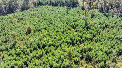 TBD Not Specified, Conway, SC 29526 - photo 7