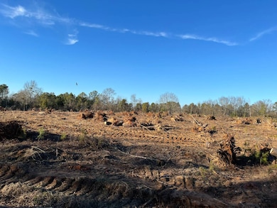 --1 Irving Rd, Batesburg-Leesville, SC 29006 - photo 4