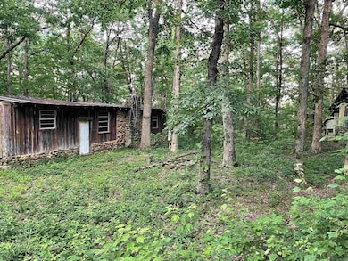 868 Watson Rd, Clinton, AR 72031 - photo 6