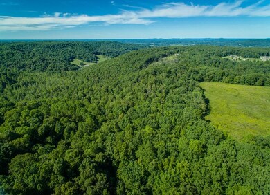 500 Brotherton Dr, Cookeville, TN 38506 - photo 6