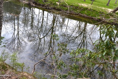 Obed River