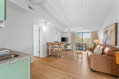 100 Getaway Cir unit 115, Kimberling City, MO 65686 - photo 5