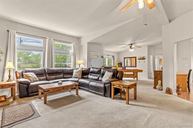 35 Starling Way, Como, CO 80432 - photo 6