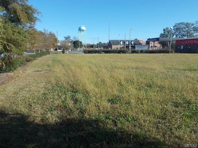 713 N Broad St, Edenton, NC 27932 - photo 6