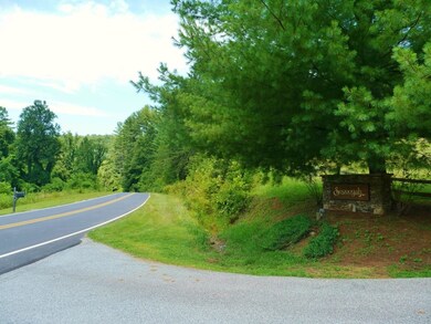 300 Sequoyah View Trail, Franklin, NC 28734 - photo 5