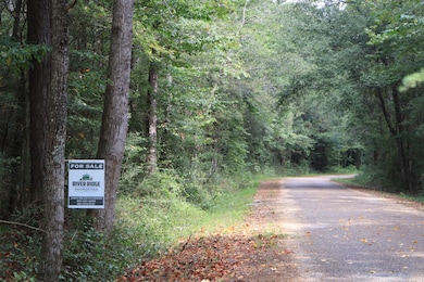 0 Coleman Rd Ms 13 unit 134645, Oak Vale, MS 39656 - photo 5