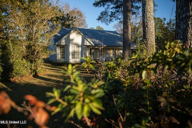 4457 Newton Conehatta Rd, Newton, MS 39345 - photo 6