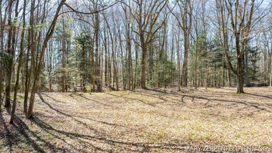 20-web-or-mls-14920-kelly-st