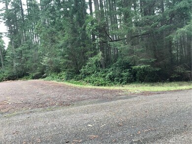 11311 Admiralty Way unit AI, Anderson Island, WA 98303 - photo 4