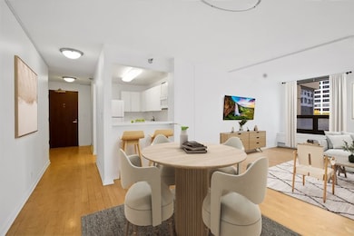 440 N Wabash Ave unit 409, Chicago, IL 60611 - photo 5