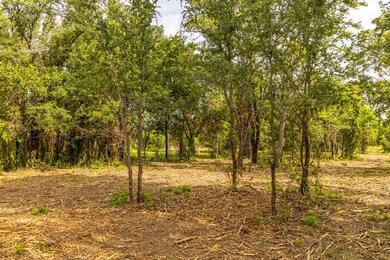 TBD 1 Ox Mill Creek Rd, Weatherford, TX 76087 - photo 3