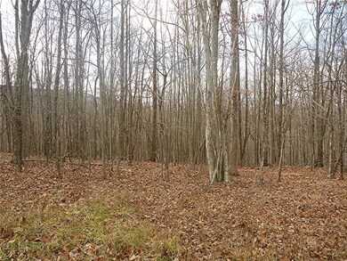 Level to Down Slope Wooded Lot