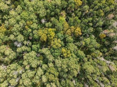 Lot J Sandbar Ln, Mission Township, MN 56465 - photo 5