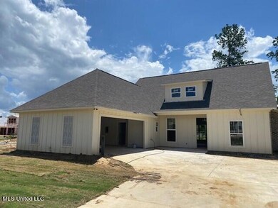 217 Herons Bay Cir, Madison, MS 39110 - photo 2