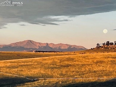 19215 Mariah Trail, Black Forest, CO 80908 - photo 2