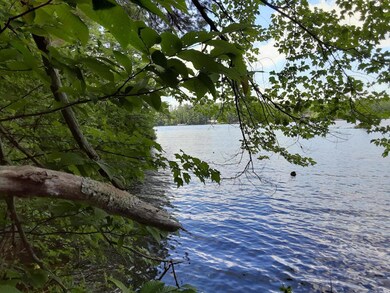 46acres Acton Ridge Rd, Acton, ME 04001 - photo 2