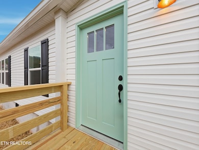 729 Siluria St, Harriman, TN 37748 - photo 4