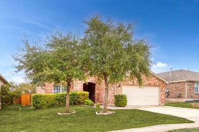 Mature trees on Property