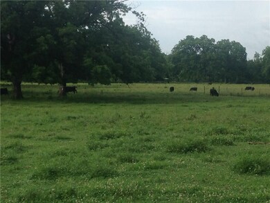 Front pasture and Pecan orchard