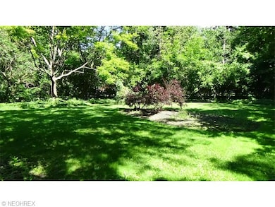 Back yard.