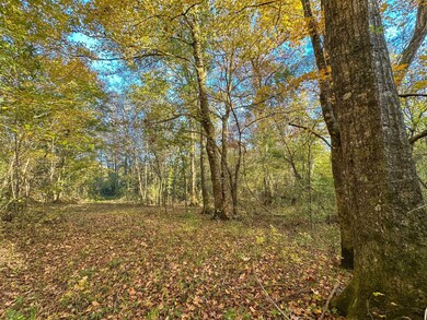 0 Jordon Rd unit 25580264, Waverly Hall, GA 31831 - photo 3