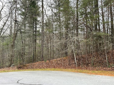 00 Cypress Creek Ln unit 22, Hendersonville, NC 28791 - photo 5