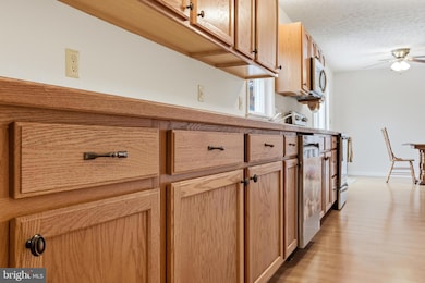 21 Greenfield Rd, Luray, VA 22835 - photo 7