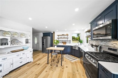 290 N Chillicothe Rd, Aurora, OH 44202 - photo 5