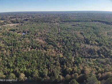 0 Tank Rd, Crystal Springs, MS 39059 - photo 7
