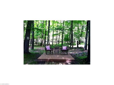 Backyard wooded fire pit.