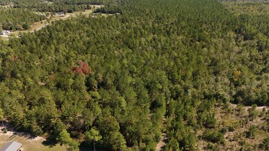 00 Cross Country Blvd unit 68, Marianna, FL 32446 - photo 6