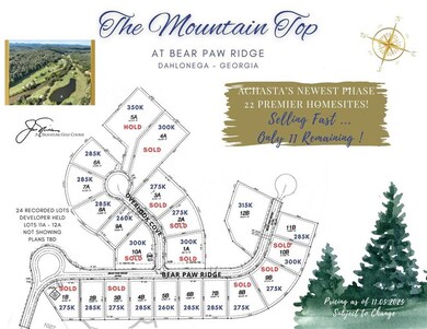 45 Overlook Cove, Dahlonega, GA 30533 - photo 4